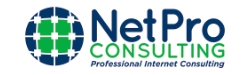 netpro-consulting-logo